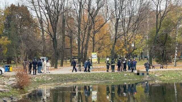 В парке на севере Москвы в пруду нашли погибшую женщину