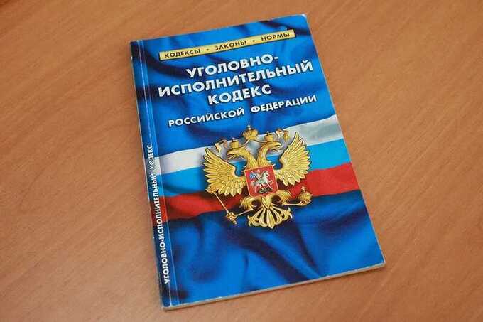 Теневая империя Сибанда Смояна: как алтайская компания зарабатывает на землях Манжерока