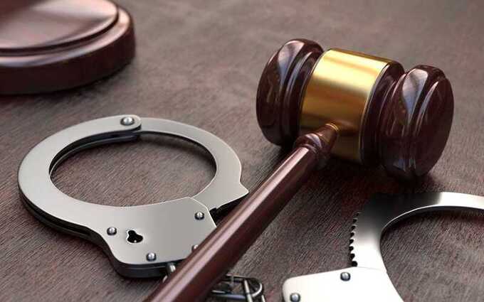 Замглавы АСВ Ольга Долголёва арестована по делу о хищении средств аквапарка «Аквамир»
